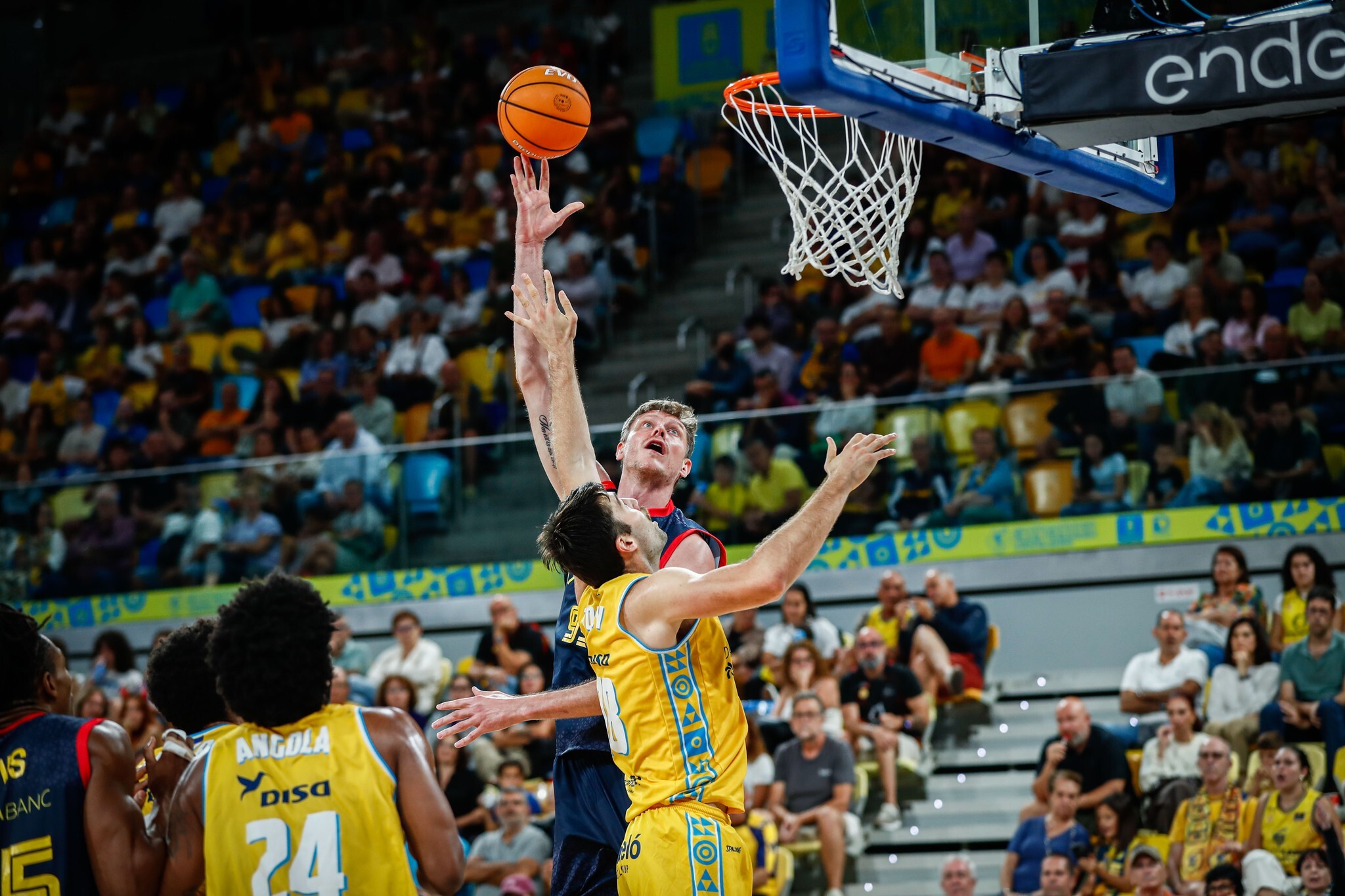 Українці за кордоном: Пустовий набрав 8 очок в Іспанії, у Кличка 13 очок у Франції